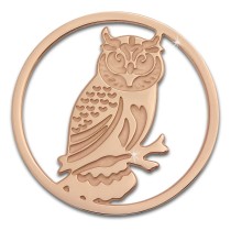 Amello Edelstahl Coin Eule 30mm rosegold für Coinsfassung Edelstahl ESC520E