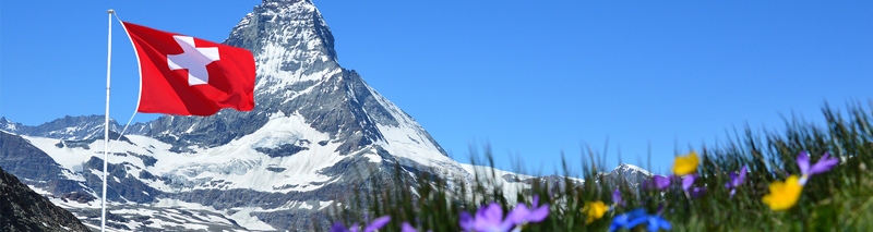 Lieferung in die Schweiz